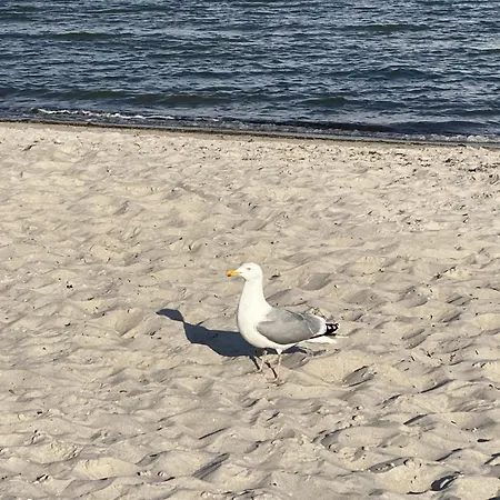 Ostseeresidenz 04 Appartement Grömitz