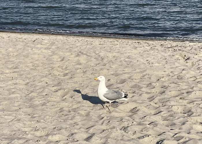 Ostseeresidenz 04 Appartement Grömitz